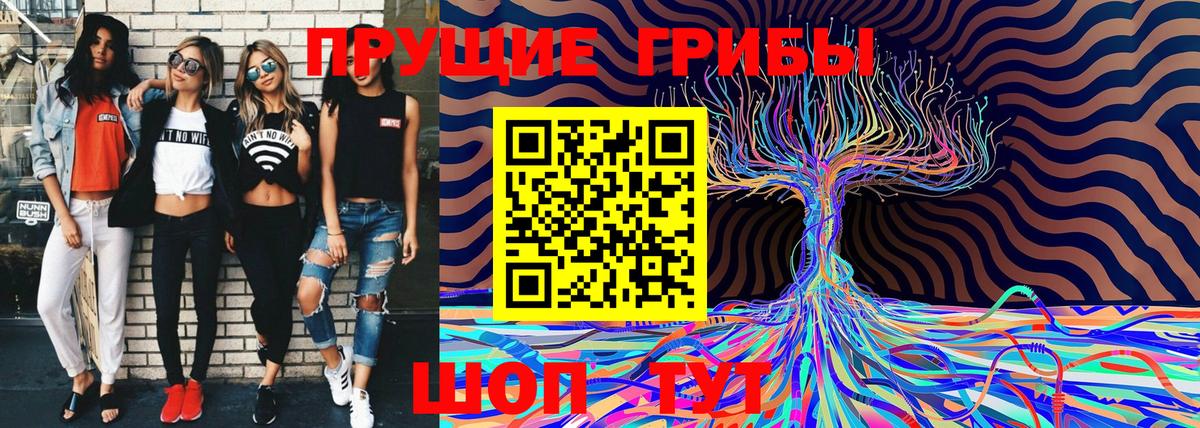 Галлюциногенные грибы Cubensis  Галлюциногенные грибы Psilocybine cubensis  цены   Вход с VPN  Десногорск 