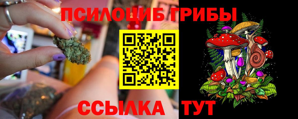 Галлюциногенные грибы Psilocybine cubensis Десногорск